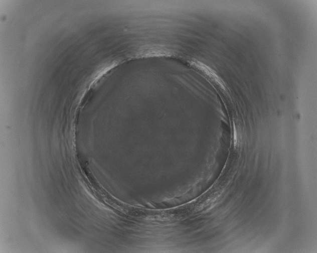 X0000078840627200611271323