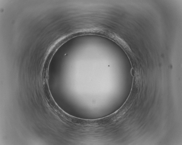 X0000078840628200611271323