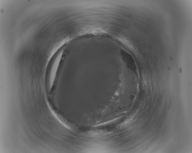 X0000078840630200611271323