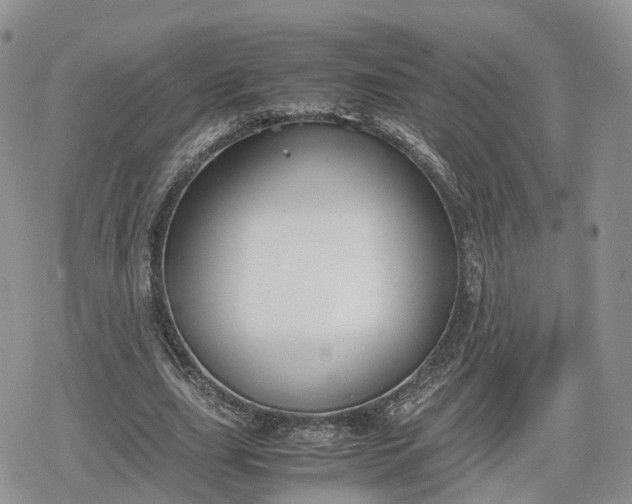 X0000078840631200611271323