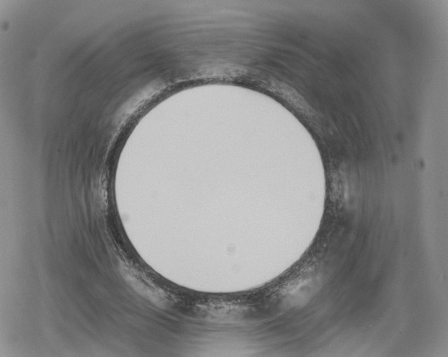 X0000078840632200611271323