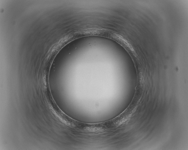 X0000078840633200611271323