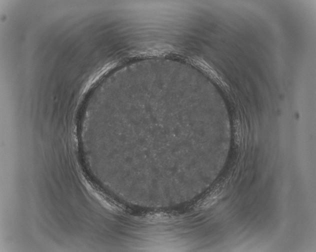 X0000078840634200611271323