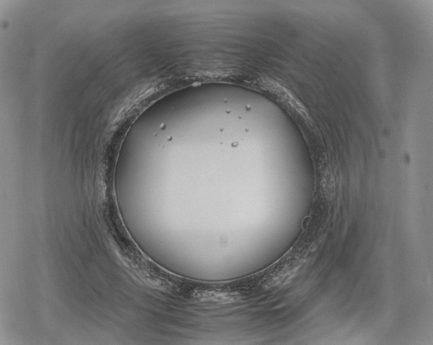 X0000078840635200611271323