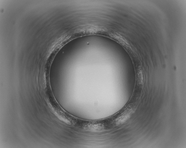 X0000078840638200611271323