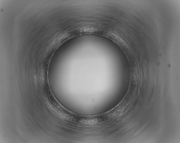 X0000078840639200611271323