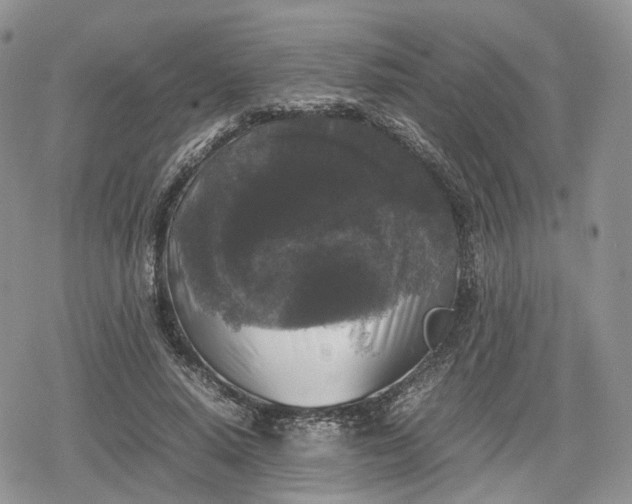 X0000078840640200611271323