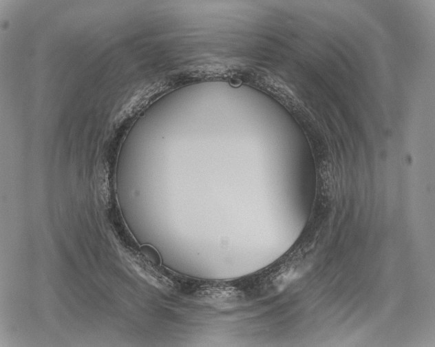 X0000078840642200611271323