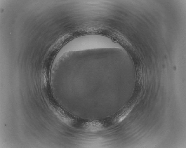 X0000078840644200611271323