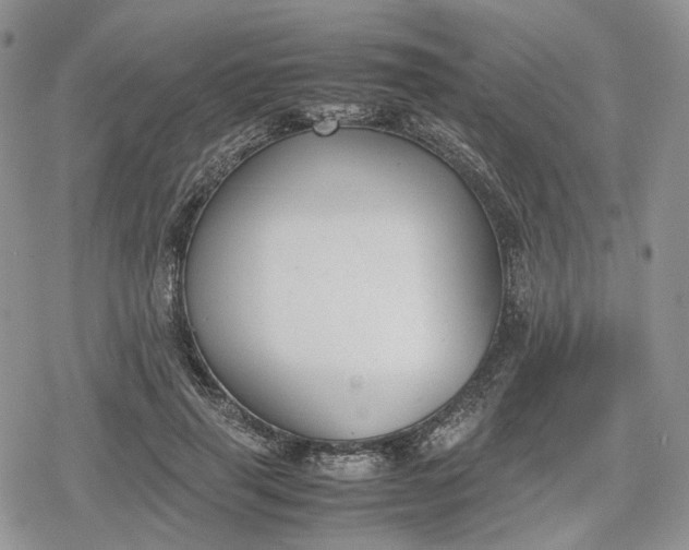 X0000078840645200611271323