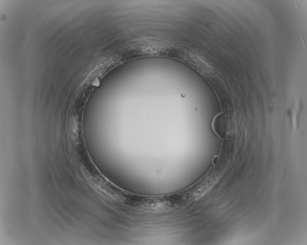 X0000078840646200611271323