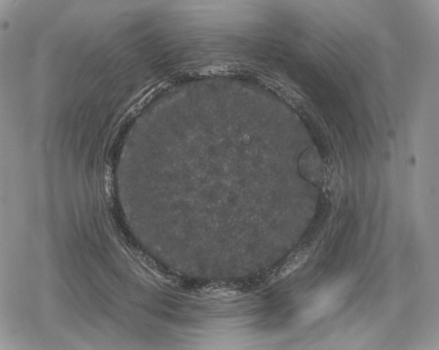 X0000078840648200611271323