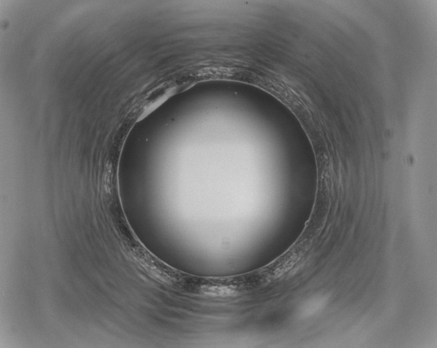 X0000078840649200611271323