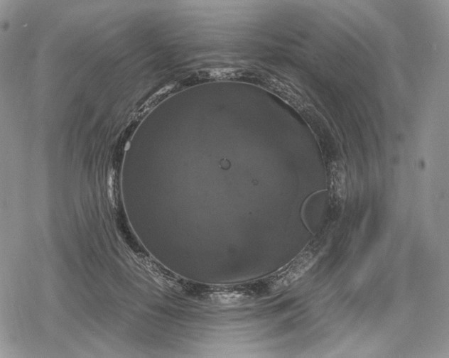 X0000078840650200611271323