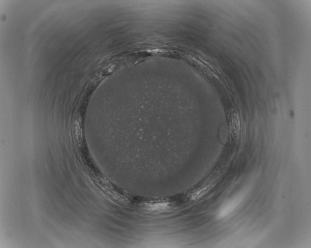 X0000078840651200611271323