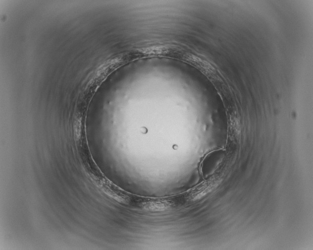 X0000078840652200611271323