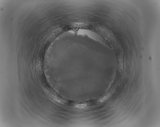 X0000078840653200611271323