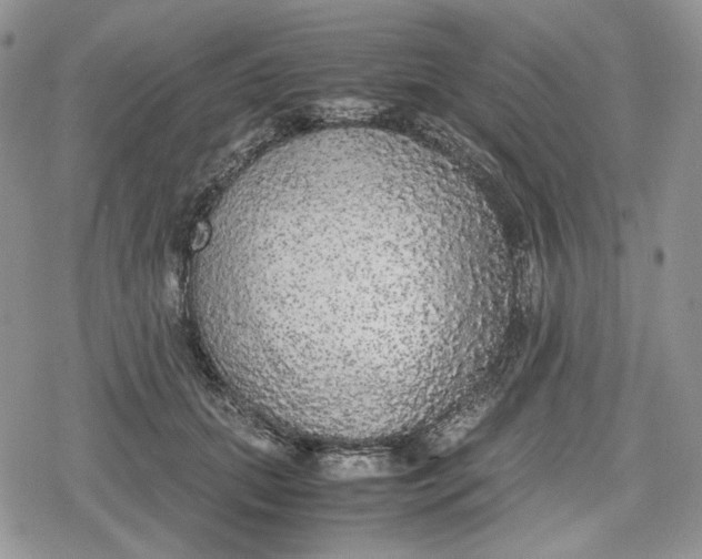 X0000078840655200611271323