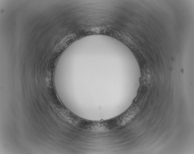 X0000078840656200611271323