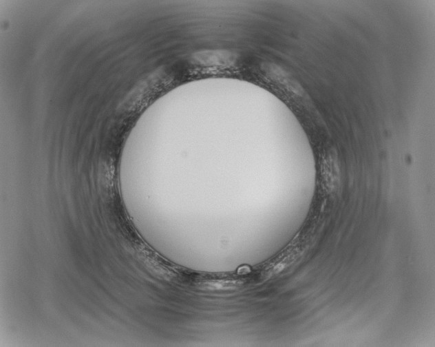 X0000078840657200611271323