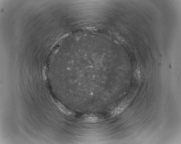 X0000078840658200611271323