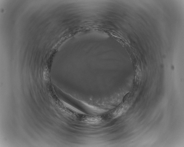 X0000078840659200611271323