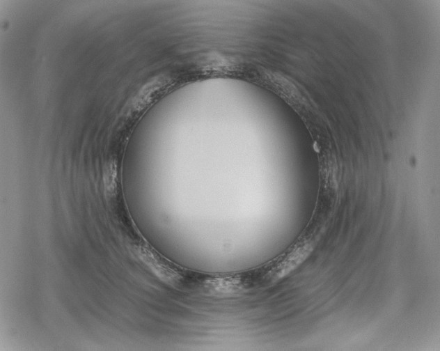 X0000078840660200611271323