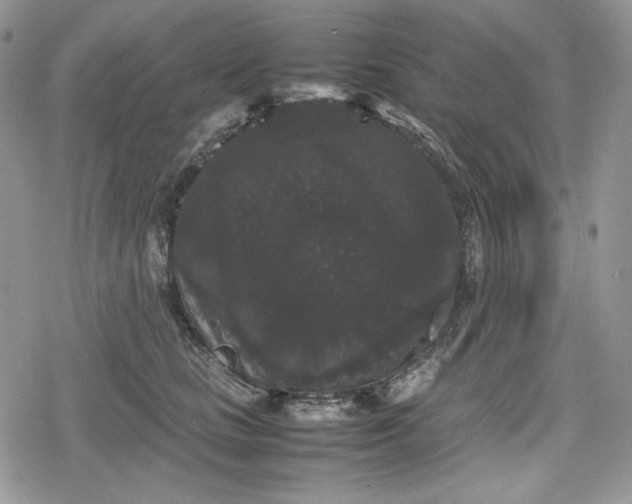 X0000078840661200611271323