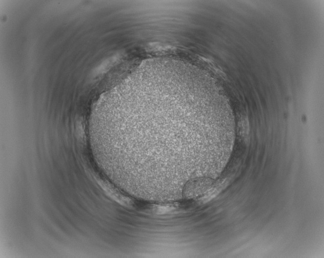 X0000078840662200611271323