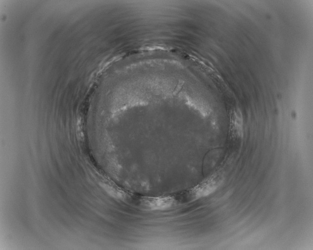 X0000078840663200611271323