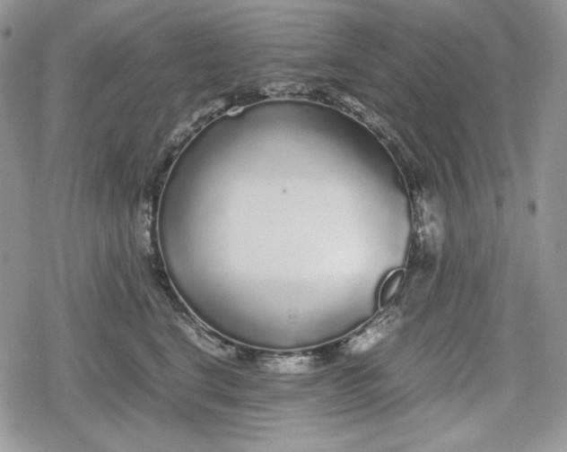 X0000078840664200611271323