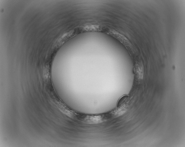 X0000078840665200611271323