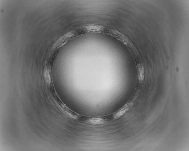 X0000078840666200611271323