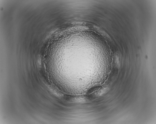 X0000078840668200611271323