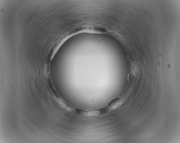 X0000078840670200611271323