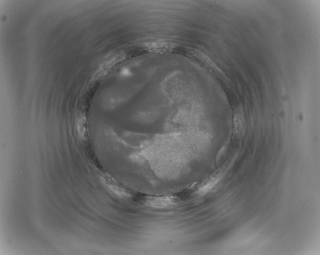 X0000078840671200611271323