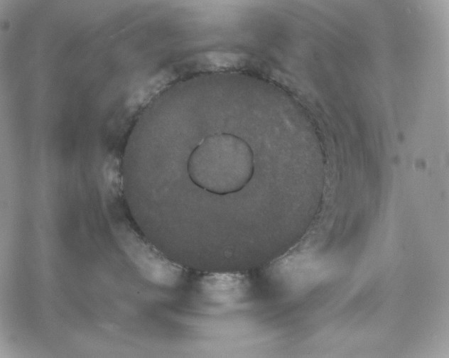 X0000078840672200611271323