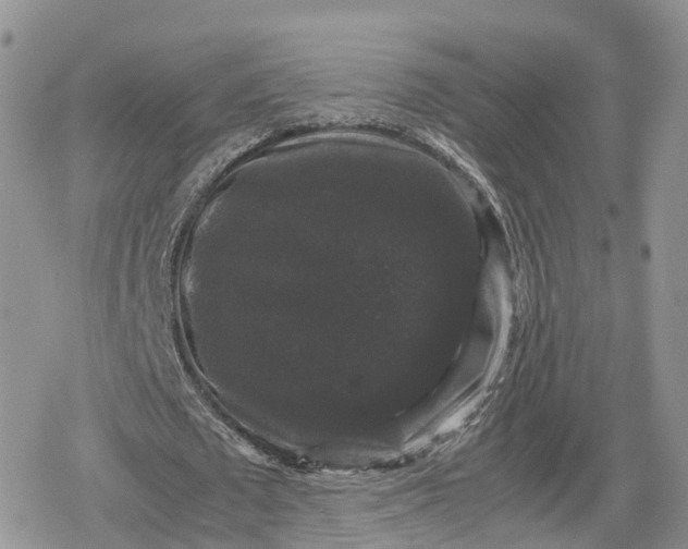 X0000078840673200611271323