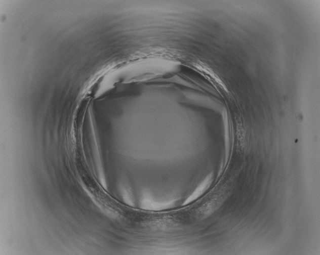 X0000078840674200611271323