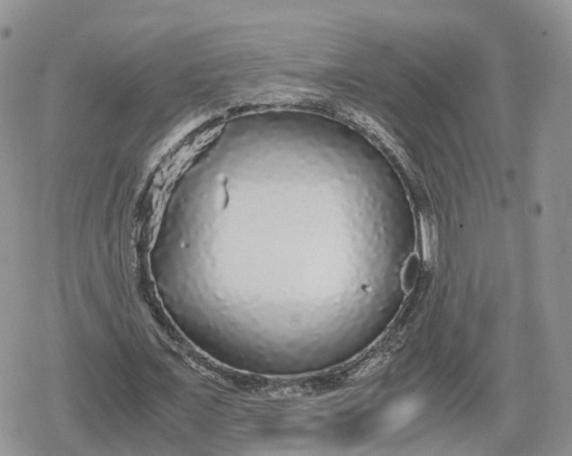 X0000078840675200611271323