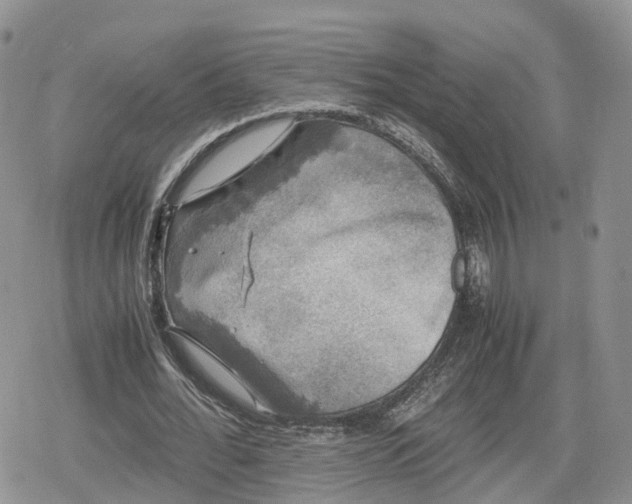 X0000078840676200611271322