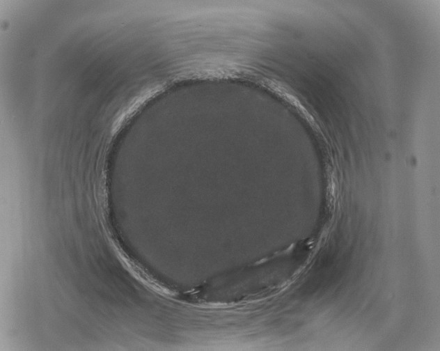 X0000078840677200611271322