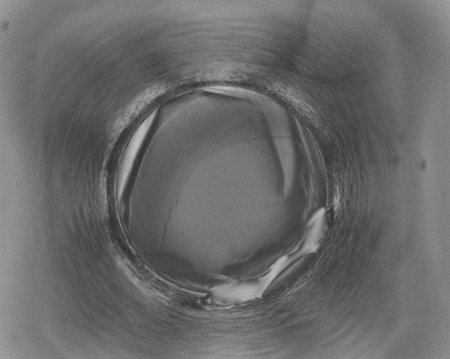 X0000078840678200611271322