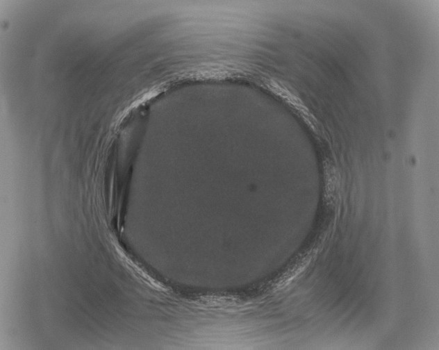 X0000078840681200611271322