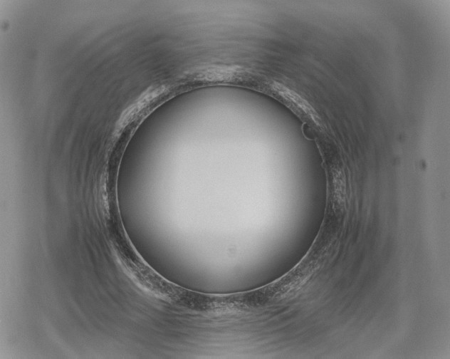 X0000078840682200611271322