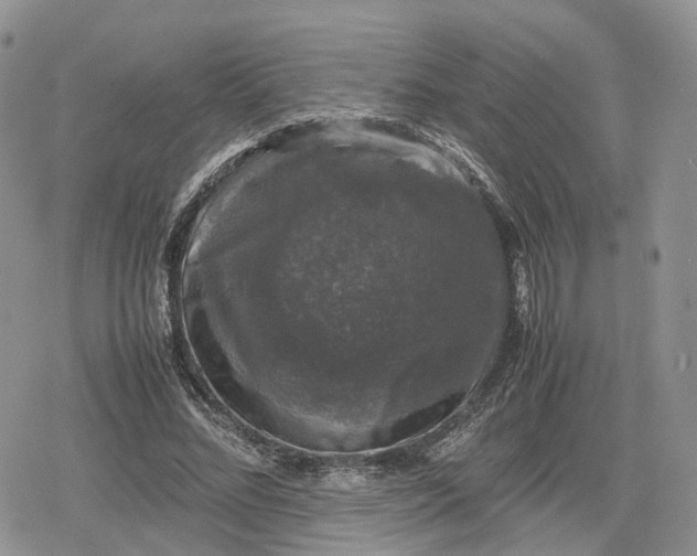 X0000078840684200611271322