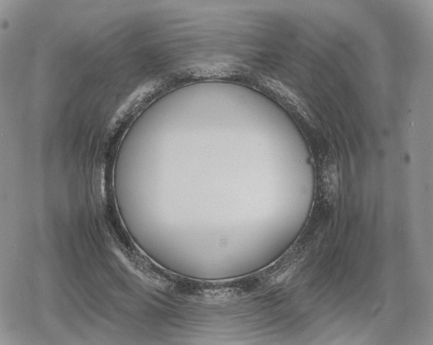 X0000078840686200611271322