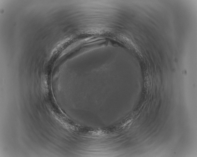 X0000078840688200611271322