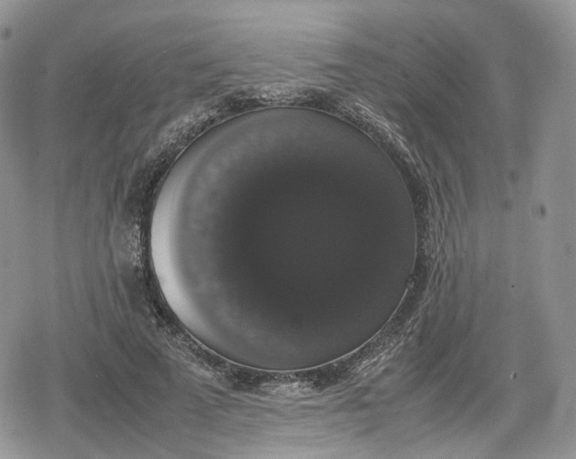 X0000078840689200611271322