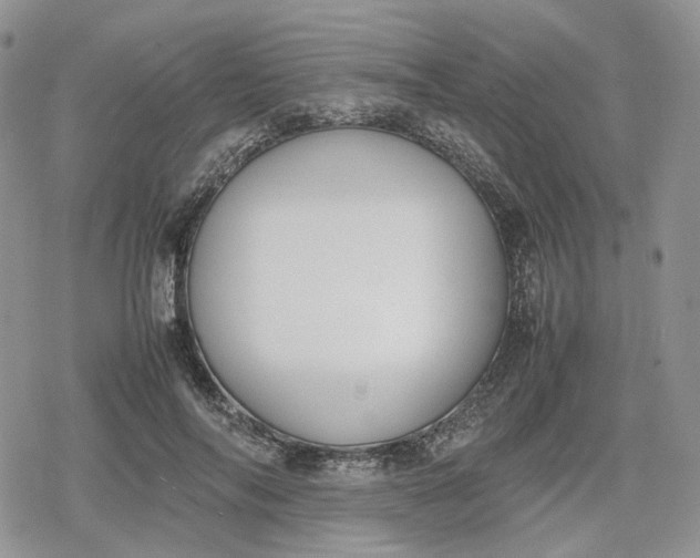 X0000078840694200611271322